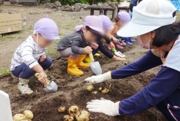 じゃがいも掘り